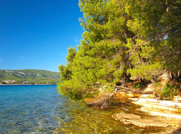 istock Paradise Dalmatian coastline 1218201694