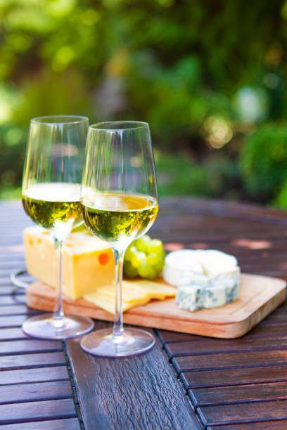Tasty appetizer for white wine on picnic in garden