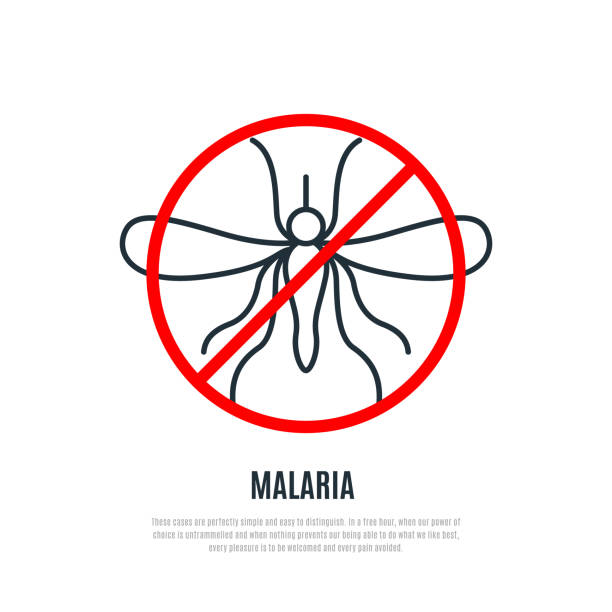ilustrações, clipart, desenhos animados e ícones de sinal de proibição de mosquitos. bandeira do dia mundial da malária. ilustração vetorial isolada em fundo branco. - 25th street