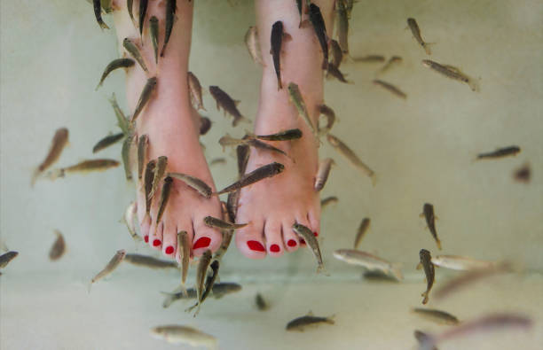 istock Lady relaxing while having fish peeling in aquarium 1218205386
