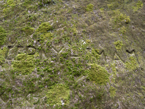 istock Curved text hidden in moss growing on sandstone 1218206747