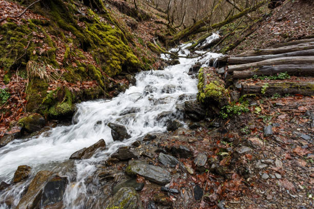 wodospad wczesną wiosną w górach - sochi hill tree wet zdjęcia i obrazy z banku zdjęć