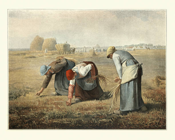 illustrazioni stock, clip art, cartoni animati e icone di tendenza di the gleaners di jean-francois millet, contadine che si aleggiano nel campo degli agricoltori - contadina pittura