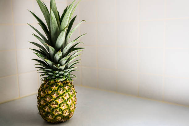 istock Whole pineapple on counter with with white tiles in background, copy space. 1218211030