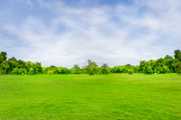 istock Trees with large courtyards and green lawns. 1218211052