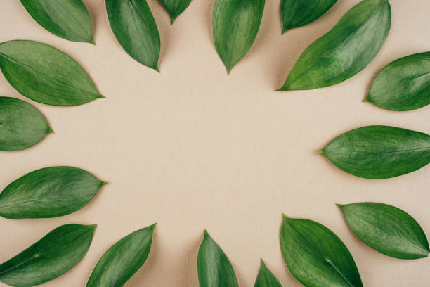 istock Natural background created from fresh green leaves. 1218212041