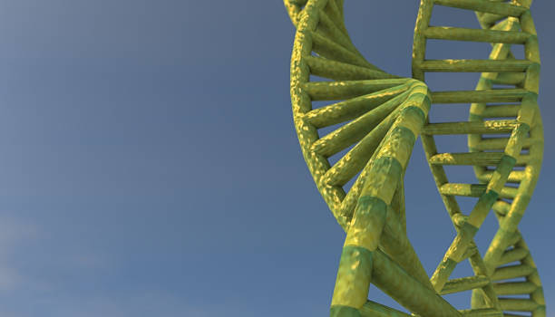 istock Concept of biochemistry with dna molecule 1218214458