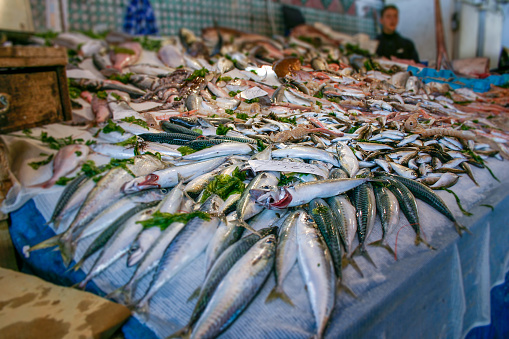 Sea fish after the catch sold in the seafood market