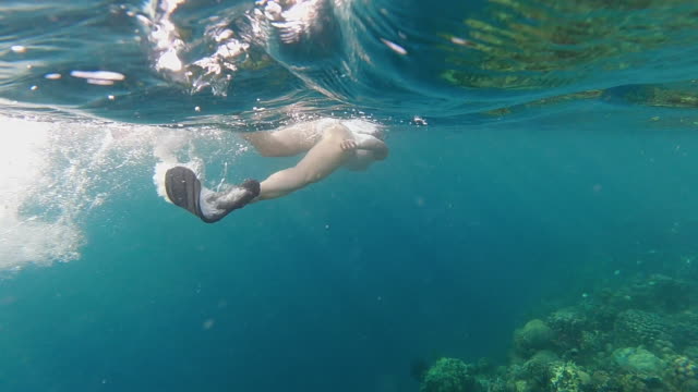Woman Snorkelling In the Ocean