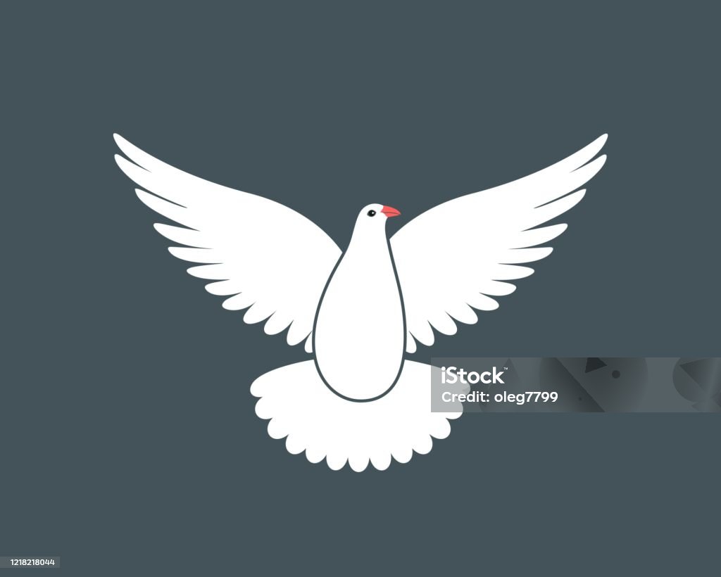 Logo Chim Bồ Câu Trắng Chim Bồ Câu Bị Cô Lập Trên Nền Đen Hình ...