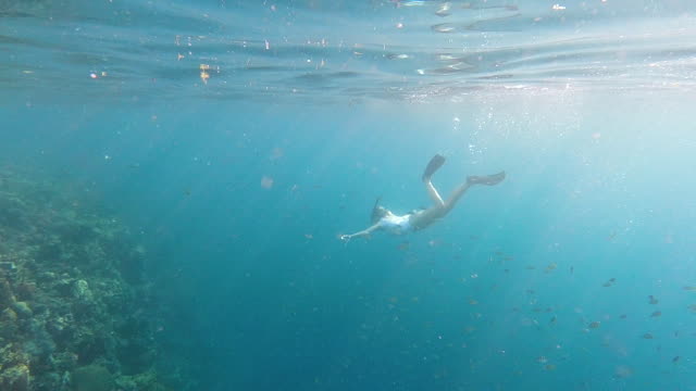 Woman Snorkelling Underwater In the Ocean