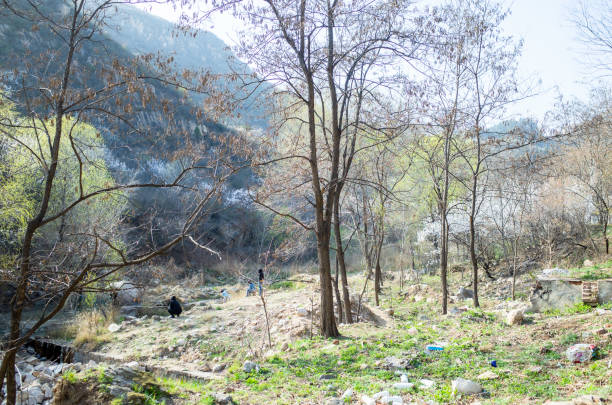 istock Early spring Suburbs of Beijing 1218223364