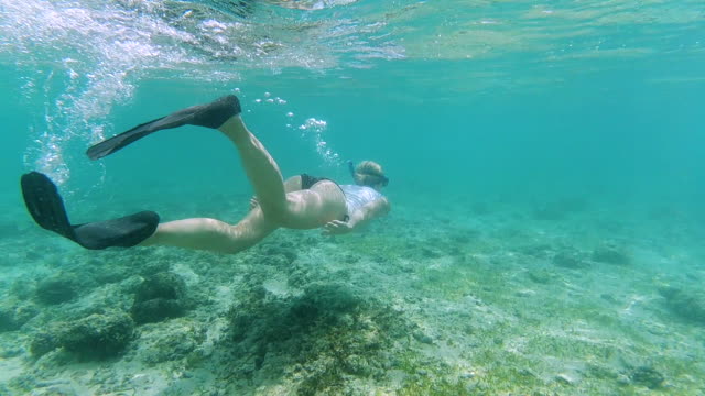 Woman Snorkelling Underwater In the Ocean
