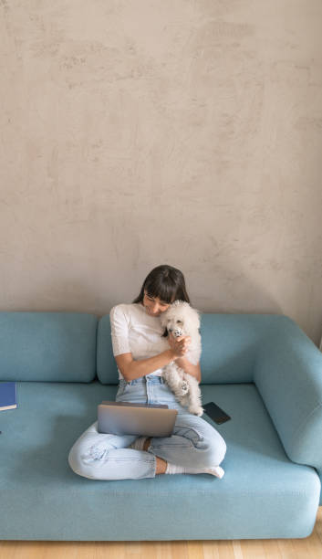 istock Conference call studying from home, dog paw waving 1218224830