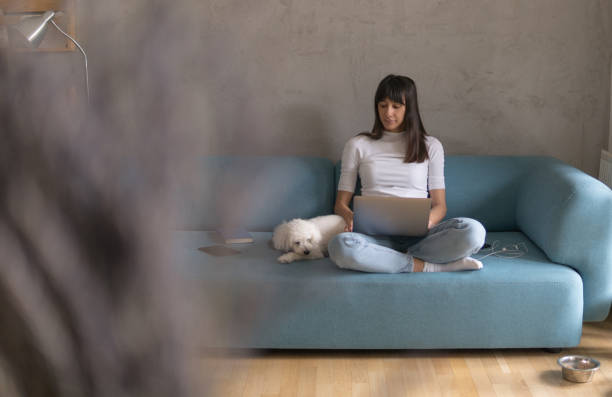 istock Conference call studying from home with dog 1218224999