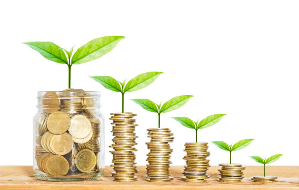 istock coin stack money saving concept. green leaf plant growth on rows of coin on white background. money matters tips to investment and business financial banking for Financial Wellness. 1218225061