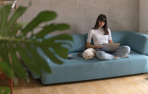 istock Conference call studying from home with dog 1218225159