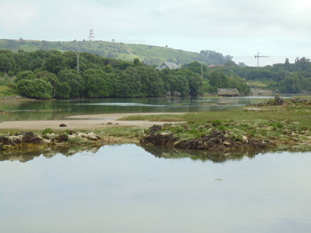istock marshes of Noja, Spain 1218228015