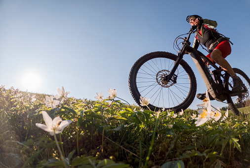 pretty senior woman riding her electric mountain bike in early springtime in the Allgau mountains near Oberstaufen, in warm evening light  with blooming spring flowers in the Foreground