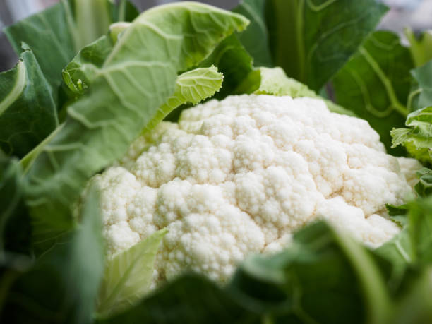 istock Close-up of cauliflower 1218233095