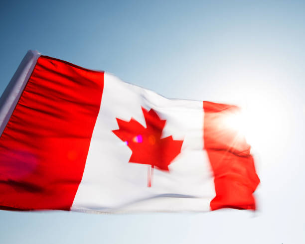 istock Canadian flag waving in the wind 1218233195