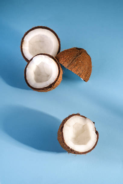 istock Coconut fruits on blue vibrant plain background, abstract food tropical concept, angle view copy space 1218233250