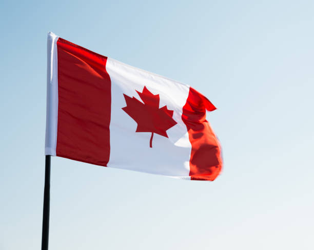 istock Canadian flag waving  against clear blue sky 1218233399