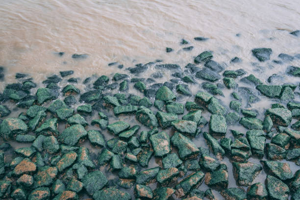 istock green moss rocks on side of lake river 1218234698