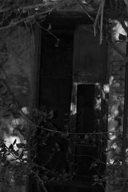 istock ABANDONED OLD HOUSE DOOR BROKEN WITH PLANTS GROWING IN FRONT IN BLACK AND WHITE 1218234988