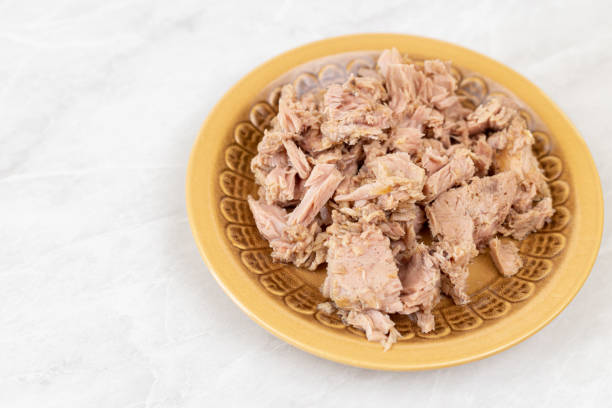 istock Canned tuna fish served on the plate with copy space 1218236647