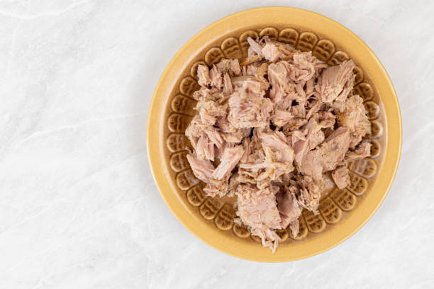 istock Canned tuna fish served on the plate with copy space 1218236734