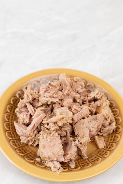 istock Canned tuna fish served on the plate with copy space 1218237348