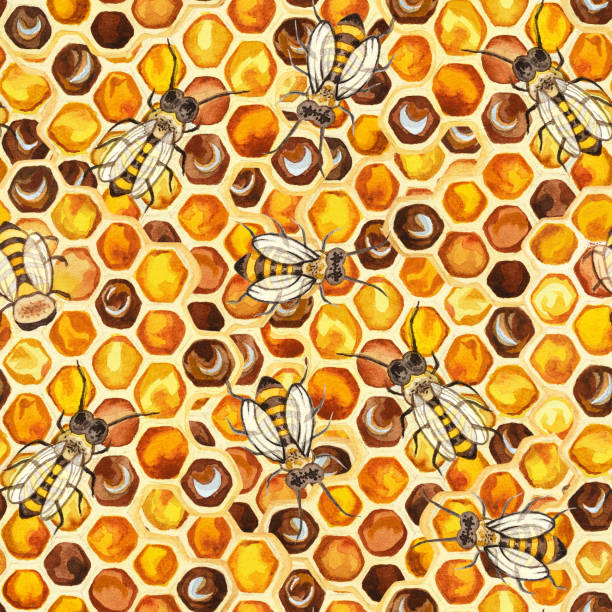 aquarell-illustration - honey hexagon honeycomb spring stock-grafiken, -clipart, -cartoons und -symbole
