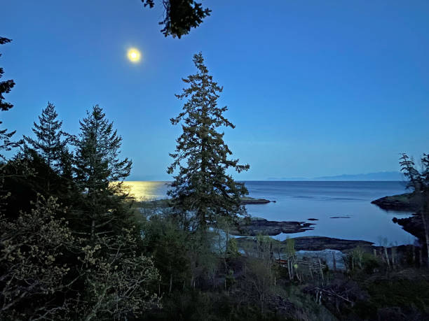 istock British Columbia's west coast 1218239448