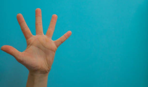 istock Woman's hands show symbols and gestures. Gestures with hands isolated on blue background 1218240771