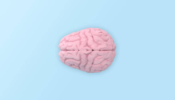 istock minimal pink brain in top view on blue background. 1218244062