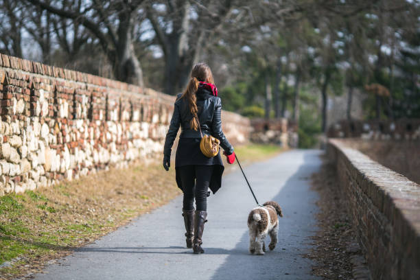 istock woman taking her dog for a walk 1218248297