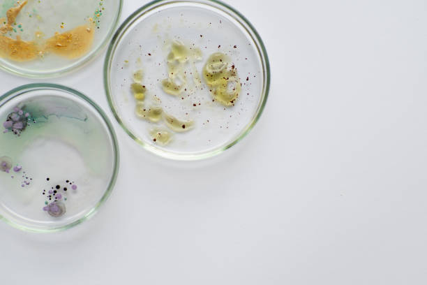 istock Viruses and bacteria in a Petri dish, various analyses in the laboratory. 1218250773