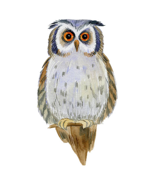 istock Owl. The image of an owl in watercolor. 1218250950
