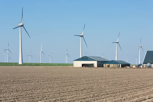 holenderskie pola uprawne z gospodarstwami rolnymi i turbinami wiatrowymi - netherlands windmill farm farmhouse zdjęcia i obrazy z banku zdjęć