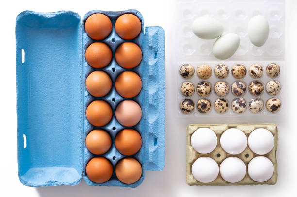 Dozen brown eggs carton and six white eggs and quail eggs isolated on white background plus three green eggs