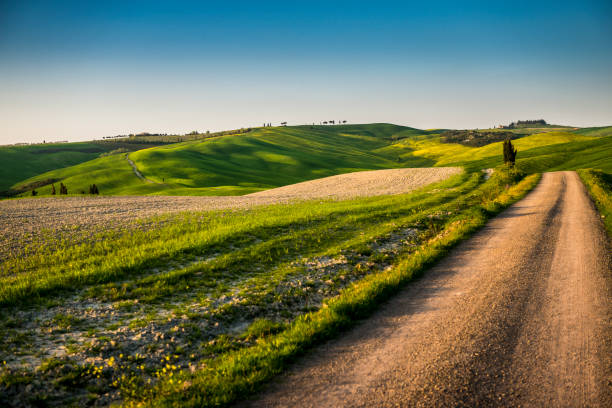 istock sunset in the Tuscany Hills 1218253173