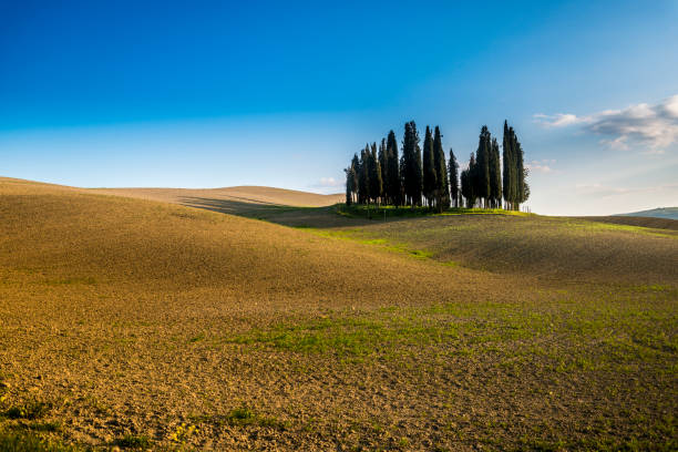 istock sunset in the Tuscany Hills 1218253199