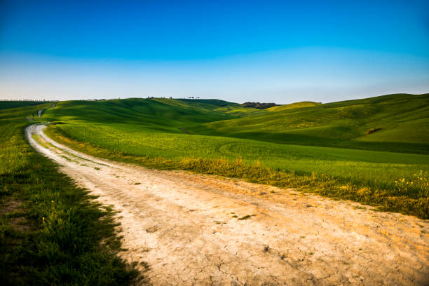 istock sunset in the Tuscany Hills 1218253293
