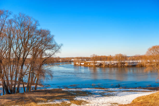 Spring natural landscape with trees standing in the water during the spring flood. beautiful spring landscape with reflection in a river, lake or pond. Sunny day with blue clear sky.
