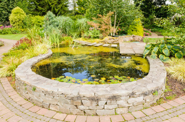 Raised garden pond in a garden Raised garden pond in a garden water garden stock pictures, royalty-free photos & images