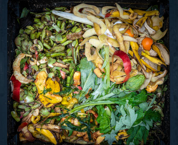食べ物と野菜の残り物と堆肥ビンヒープ - rotting banana vegetable fruit ストックフォトと画像