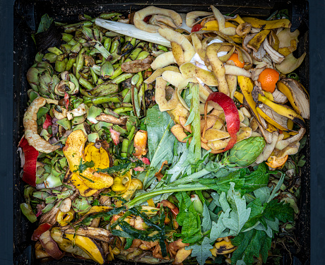 Compost bin heap with food and vegetables leftovers to get earthworm humus compost