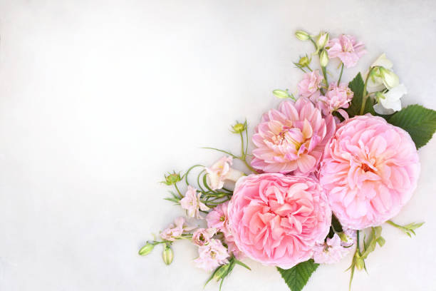 istock Delicate blossoming roses frame, blooming flowers festive background 1218261847