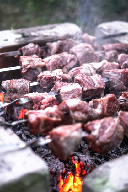 istock Roasted meat on the fire. Camping cooking kebab. Barbecue 1218264019